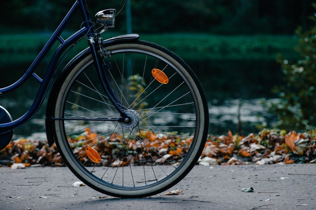 Roda de bicicleta em primeiro plano e folhas ao fundo